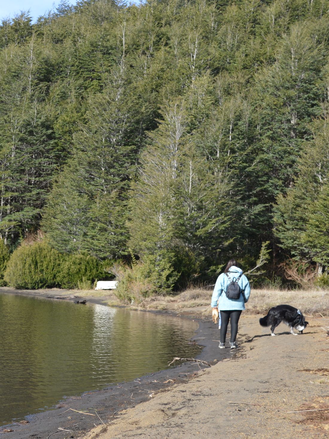 Caminata junto a la orilla de una laguna rodeada de bosque